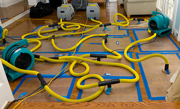 Professional Basement Flood Cleanup technician working in Camarillo, CA
